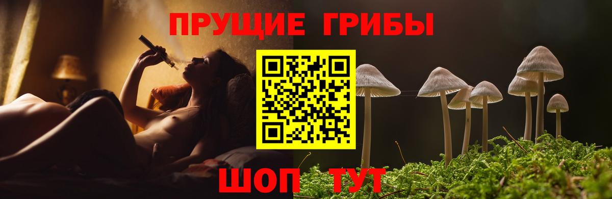 Псилоцибиновые грибы Psilocybe Ростов-на-Дону